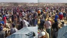 Et pendant ce temps : Les marocains envahissent les souks de moutons sans distanciation sociale