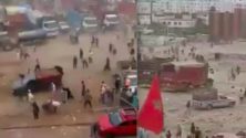 Vidéo : Ils volent avec violence des moutons dans un marché de bétail à Casablanca