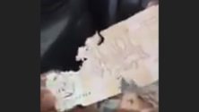 Vidéo : Un rat dévore plusieurs dizaines de billets de banque d’un Marocain