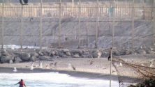 Vidéo : Une Marocaine essaye de rallier les côtes de Findeq depuis Sebta, à la nage