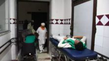 Deux enfants sont morts à Tanger après avoir consommé une plante toxique