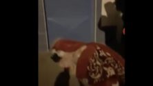 Vidéo : Une femme accouche dans la rue devant l&rsquo;hôpital à Bir Jdid