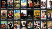 Voici les 10 séries les plus regardées en 2020