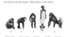 Un “exercice” raciste et sexiste à l’école primaire Renan suscite l’indignation