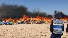 À Dakhla, 153 millions de dirhams de cannabis et d’autres produits illicites sont partis en fumée