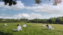 Corée du Sud : Une pub polémique compare les femmes à des vaches