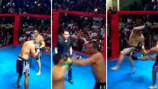 Deux politiciens au Brésil règlent leur compte sur un ring de boxe