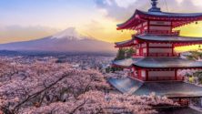 6 japonais atteints de cancers poursuivent l’opérateur de la centrale