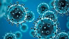 Le Covid-19 perd 90 % de sa capacité d’infection après 20 minutes à l’air libre
