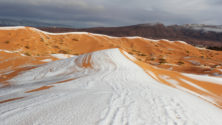 Il a neigé dans le Sahara algérien pour la quatrième fois en 50 ans