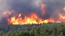 L’incendie de la forêt de Bni Idder près de Tétouan a été maîtrisé par les équipes d’intervention
