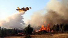 Le feu de forêt à Ksar El Majaz a été maîtrisé