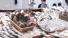 Ramadan 2024 au Maroc : Les prix du poisson flambent, les consommateurs grognent